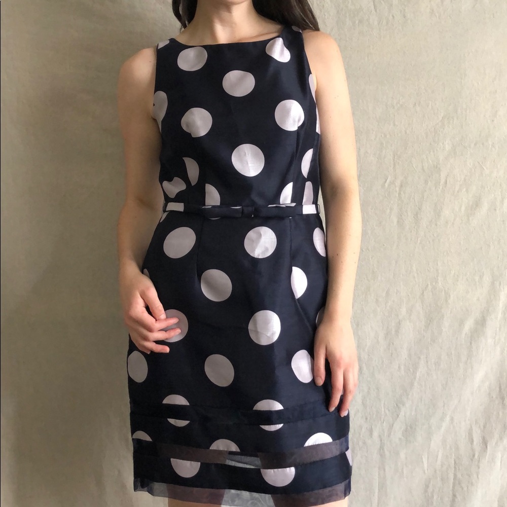 Taylor Polka Dot Dress